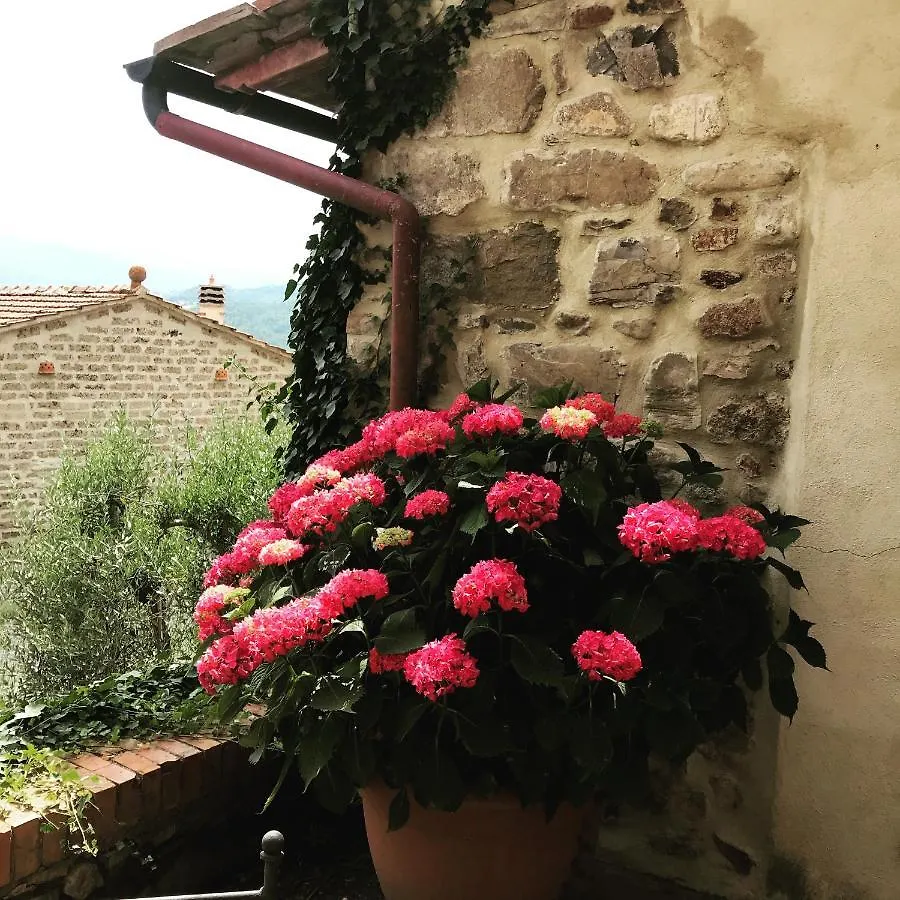Villa Agriturismo Materno Radicondoli