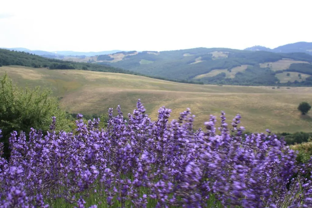 Villa Agriturismo Materno Radicondoli 0*,  Italien