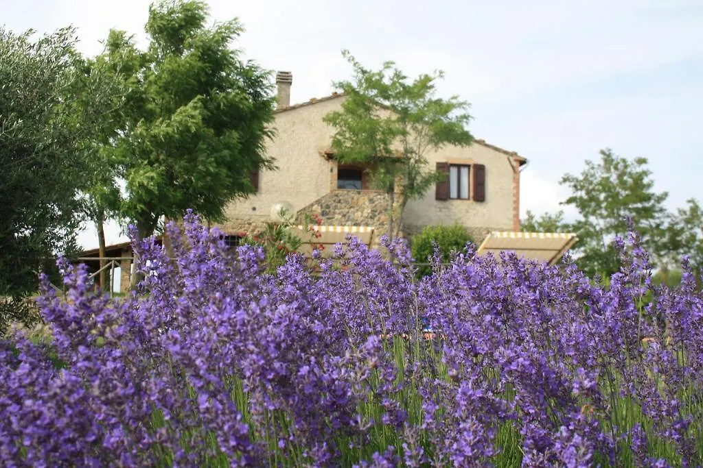 Villa Agriturismo Materno Radicondoli Bauernhof