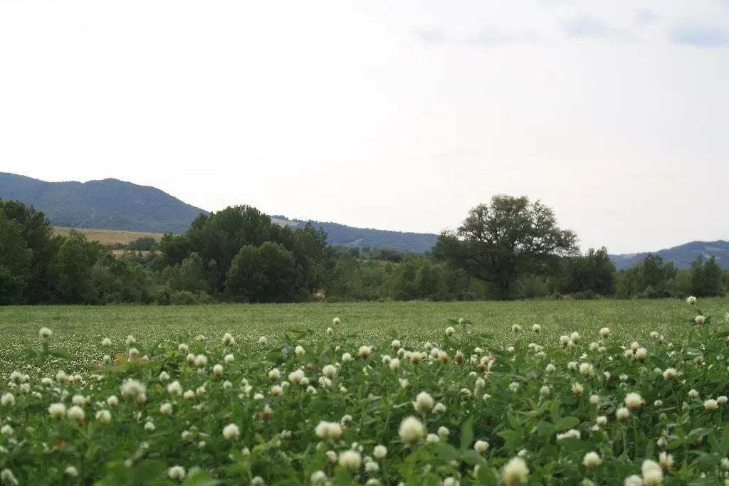Bauernhof Villa Agriturismo Materno Radicondoli